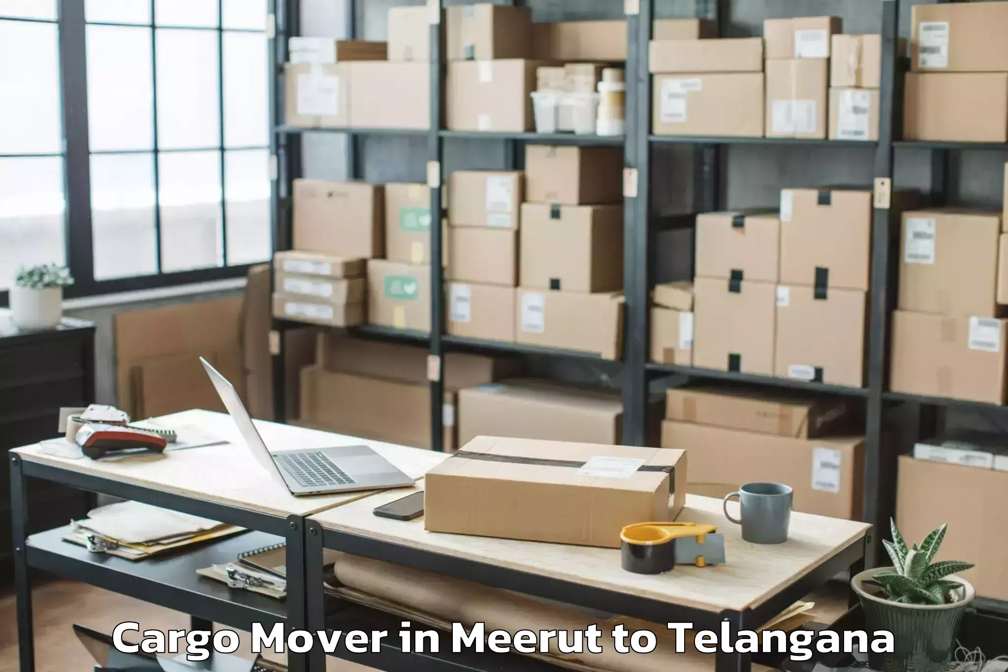 Leading Meerut to Peddakothapalle Cargo Mover Provider